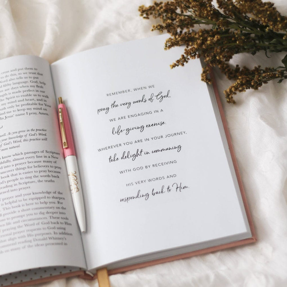 All Things New Praying Scripture Journal