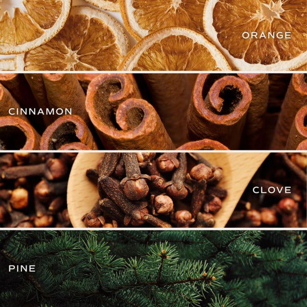 Four horizontal panels showing scent or scent imagery: top labeled 'ORANGE' with dried oranges, second labeled 'CINNAMON' with cinnamon sticks, third labeled "CLOVE" with dried cloves, and bottom labeled 'PINE' with with pine branches. Scent profile for Sweet Water Decor Warm & Cozy Candle from Luxe & Bloom