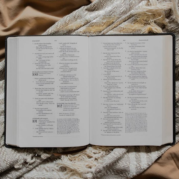 Inside view of an open The Daily Grace Co. Morning Glory ESV Wide Margin Reference Bible | Build A Christian Custom Gift Box for Women with Luxe & Bloom