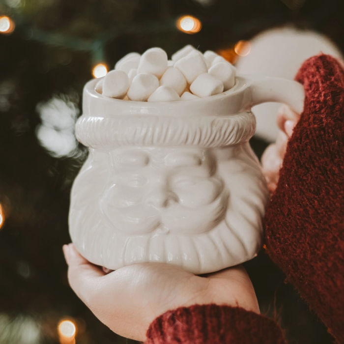 Women's Hand Holding A Sweet Water Decor Santa Coffee Mug | Build A Luxury Custom Christmas Gift Box for Women with Luxe & Bloom